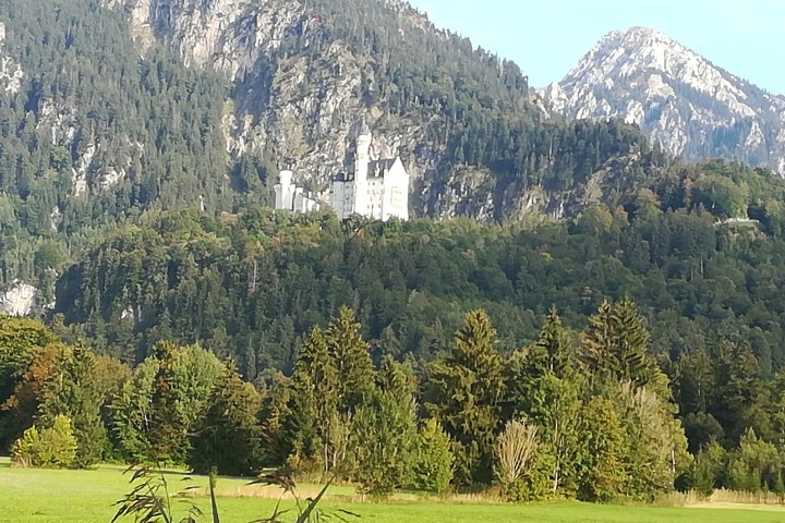 a large green field with a mountain in the background